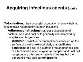 Colonization: the successful occupation of a new habitat
by a species not normally found in this niche
Adherence (attachment): close association of
bacterial cells and host cells generally characterized by
receptors on target sites
Adhesin: structure or macromolecule located on the
surface of a cell or extracellularly that facilitates
adherence of a cell to a surface or to another cell; site
of attachment is often a specific receptor and host cell
receptors are often sugar moieties (lectin), but the
adherence may also be nonspecific
Acquiring infectious agents (cont.)
 
