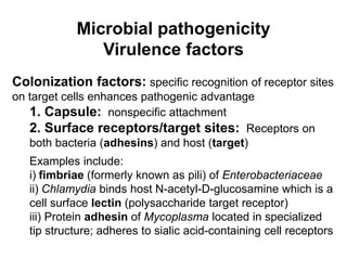 Microbial pathogenicity
Virulence factors
Colonization factors: specific recognition of receptor sites
on target cells enhances pathogenic advantage
1. Capsule: nonspecific attachment
2. Surface receptors/target sites: Receptors on
both bacteria (adhesins) and host (target)
Examples include:
i) fimbriae (formerly known as pili) of Enterobacteriaceae
ii) Chlamydia binds host N-acetyl-D-glucosamine which is a
cell surface lectin (polysaccharide target receptor)
iii) Protein adhesin of Mycoplasma located in specialized
tip structure; adheres to sialic acid-containing cell receptors
 