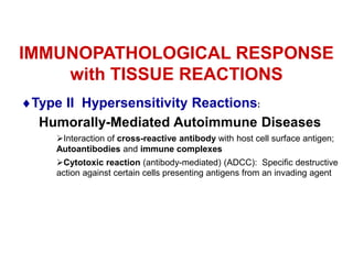 IMMUNOPATHOLOGICAL RESPONSE
with TISSUE REACTIONS
Type II Hypersensitivity Reactions:
Humorally-Mediated Autoimmune Diseases
Interaction of cross-reactive antibody with host cell surface antigen;
Autoantibodies and immune complexes
Cytotoxic reaction (antibody-mediated) (ADCC): Specific destructive
action against certain cells presenting antigens from an invading agent
 