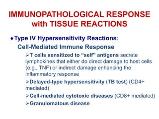 IMMUNOPATHOLOGICAL RESPONSE
with TISSUE REACTIONS
Type IV Hypersensitivity Reactions:
Cell-Mediated Immune Response
T cells sensitized to “self” antigens secrete
lymphokines that either do direct damage to host cells
(e.g., TNF) or indirect damage enhancing the
inflammatory response
Delayed-type hypersensitivity (TB test) (CD4+
mediated)
Cell-mediated cytotoxic diseases (CD8+ mediated)
Granulomatous disease
 