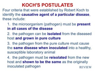 KOCH'S POSTULATES
Four criteria that were established by Robert Koch to
identify the causative agent of a particular disease,
these include:
1. the microorganism (pathogen) must be present
in all cases of the disease
2. the pathogen can be isolated from the diseased
host and grown in pure culture
3. the pathogen from the pure culture must cause
the same disease when inoculated into a healthy,
susceptible laboratory animal
4. the pathogen must be reisolated from the new
host and shown to be the same as the originally
inoculated pathogen REVIEW
 