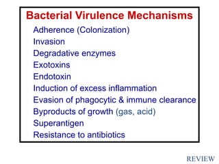Bacterial Virulence Mechanisms
Adherence (Colonization)
Invasion
Degradative enzymes
Exotoxins
Endotoxin
Induction of excess inflammation
Evasion of phagocytic & immune clearance
Byproducts of growth (gas, acid)
Superantigen
Resistance to antibiotics
REVIEW
 