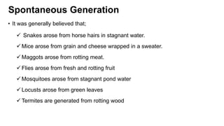 Spontaneous Generation
• It was generally believed that;
 Snakes arose from horse hairs in stagnant water.
 Mice arose from grain and cheese wrapped in a sweater.
 Maggots arose from rotting meat.
 Flies arose from fresh and rotting fruit
 Mosquitoes arose from stagnant pond water
 Locusts arose from green leaves
 Termites are generated from rotting wood
 