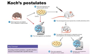 Koch’s postulates
 