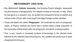 METCHNIKOFF (1845-1916)
• Elie Metchnikoff (Cellular Immunity), the Russian-French biologist, discovered
the phenomenon of phagocytosis, the cellular concept of immunity. In Italy, where
he had gone on a research visit, he studied the transparent larvae of starfish and
noticed some of their cells could engulf and digest foreign protein particles.
• These cell eaters are called “Phagocytes”. He continued his work on phagocytic
action, at Pasteur Institute and found that in human blood a large proportion of
the leucocytes (White blood cells) are phagocytic and attack invading bacteria.
• This, in turn, results in increased numbers of leucocytes in the infected areas
followed by the inflamed area becoming hot, red, swelled and painful due to dead
phagocytes forming pus.
 