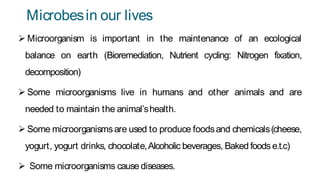 Microbesin our lives
 Microorganism is important in the maintenance of an ecological
balance on earth (Bioremediation, Nutrient cycling: Nitrogen fixation,
decomposition)
 Some microorganisms live in humans and other animals and are
needed to maintain the animal’shealth.
 Some microorganismsare used to produce foodsand chemicals(cheese,
yogurt, yogurt drinks, chocolate,Alcoholic beverages, Baked foods e.t.c)
 Some microorganisms cause diseases.
 