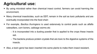 Agricultural use:
 By using microbial rather than chemical insect control, farmers can avoid harming the
environment.
 Many chemical insecticides, such as DDT, remain in the soil as toxic pollutants and are
eventually incorporated into the food chain
 For example, Bacillus thuringiens is used extensively to control pests such as alfalfa
caterpillars, corn borers, cabbage worms etc
- It is incorporated into a dusting powder that is applied to the crops these insects
eat.
- The bacteria produce protein crystals that are toxic to the digestive systems of the
insects.
 Also, a toxin gene has been inserted into some plants to make them insect resistant.
 