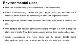 Environmental uses;
 Microbes are used to recycle vital elements in the environment
 Chemical elements e.g. carbon, nitrogen, oxygen, sulfur, etc are abundant &
essential for life, but are not necessarily in forms that organisms can use.
 Microorganisms convert these elements into forms that plants & animals can
use.
 Only bacteria can naturally convert atmospheric nitrogen to a form available to
plants and animals. They decompose organic wastes, dead plants and animals.
 Algae, cyanobacteria, and higher plants use the carbon dioxide during
photosynthesis to produce carbohydrates for animals, fungi, and bacteria.
 