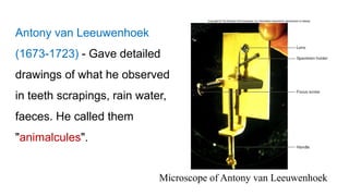 Microscope of Antony van Leeuwenhoek
Antony van Leeuwenhoek
(1673-1723) - Gave detailed
drawings of what he observed
in teeth scrapings, rain water,
faeces. He called them
"animalcules".
 