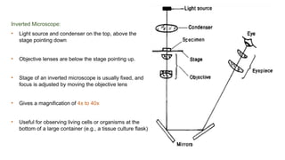 Microscope Inversion Introduction to Microbiology and Microscope | PPTX