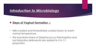 Introduction to Microbiology
 Steps of Yoghurt formation -:
• Milk is boiled and immediately cooled down to warm
normal temperature.
• The bacterial strains of Streptococcus thermophilus and
Lactobacillus delbrueckii are added to it in 1:1
proportion.
 