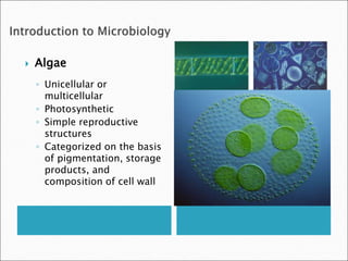  Algae
◦ Unicellular or
multicellular
◦ Photosynthetic
◦ Simple reproductive
structures
◦ Categorized on the basis
of pig...