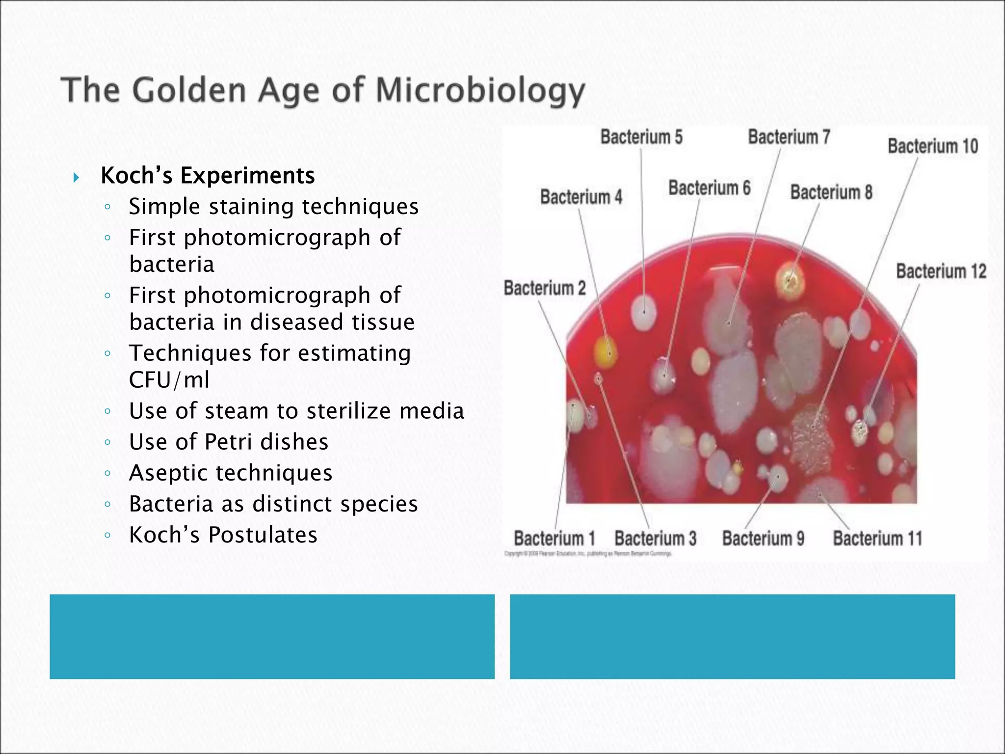  Koch’s Experiments
◦ Simple staining techniques
◦ First photomicrograph of
bacteria
◦ First photomicrograph of
bacteria in diseased tissue
◦ Techniques for estimating
CFU/ml
◦ Use of steam to sterilize media
◦ Use of Petri dishes
◦ Aseptic techniques
◦ Bacteria as distinct species
◦ Koch’s Postulates
 