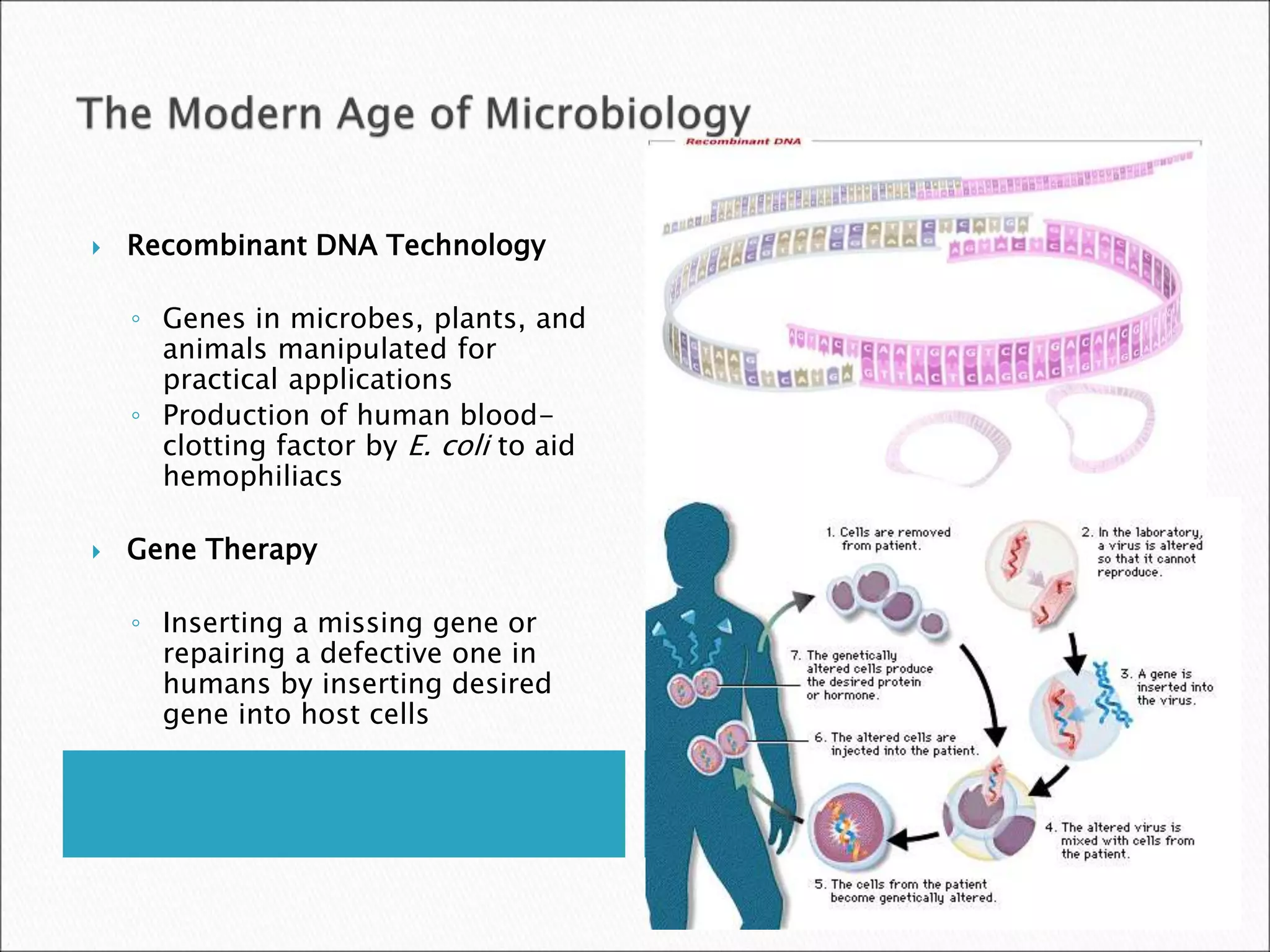  Recombinant DNA Technology
◦ Genes in microbes, plants, and
animals manipulated for
practical applications
◦ Production of human blood-
clotting factor by E. coli to aid
hemophiliacs
 Gene Therapy
◦ Inserting a missing gene or
repairing a defective one in
humans by inserting desired
gene into host cells
 