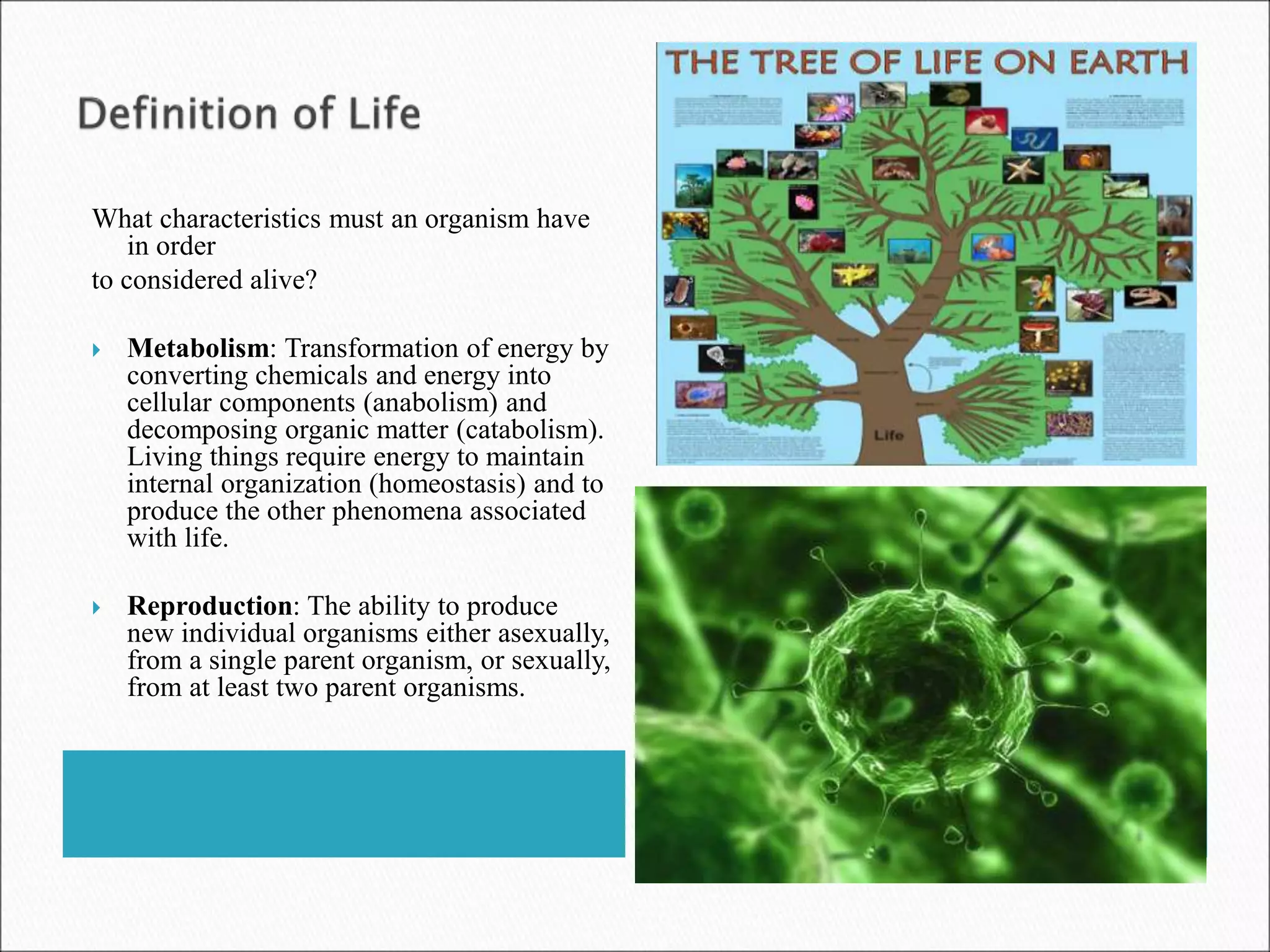 What characteristics must an organism have
in order
to considered alive?
 Metabolism: Transformation of energy by
converting chemicals and energy into
cellular components (anabolism) and
decomposing organic matter (catabolism).
Living things require energy to maintain
internal organization (homeostasis) and to
produce the other phenomena associated
with life.
 Reproduction: The ability to produce
new individual organisms either asexually,
from a single parent organism, or sexually,
from at least two parent organisms.
 