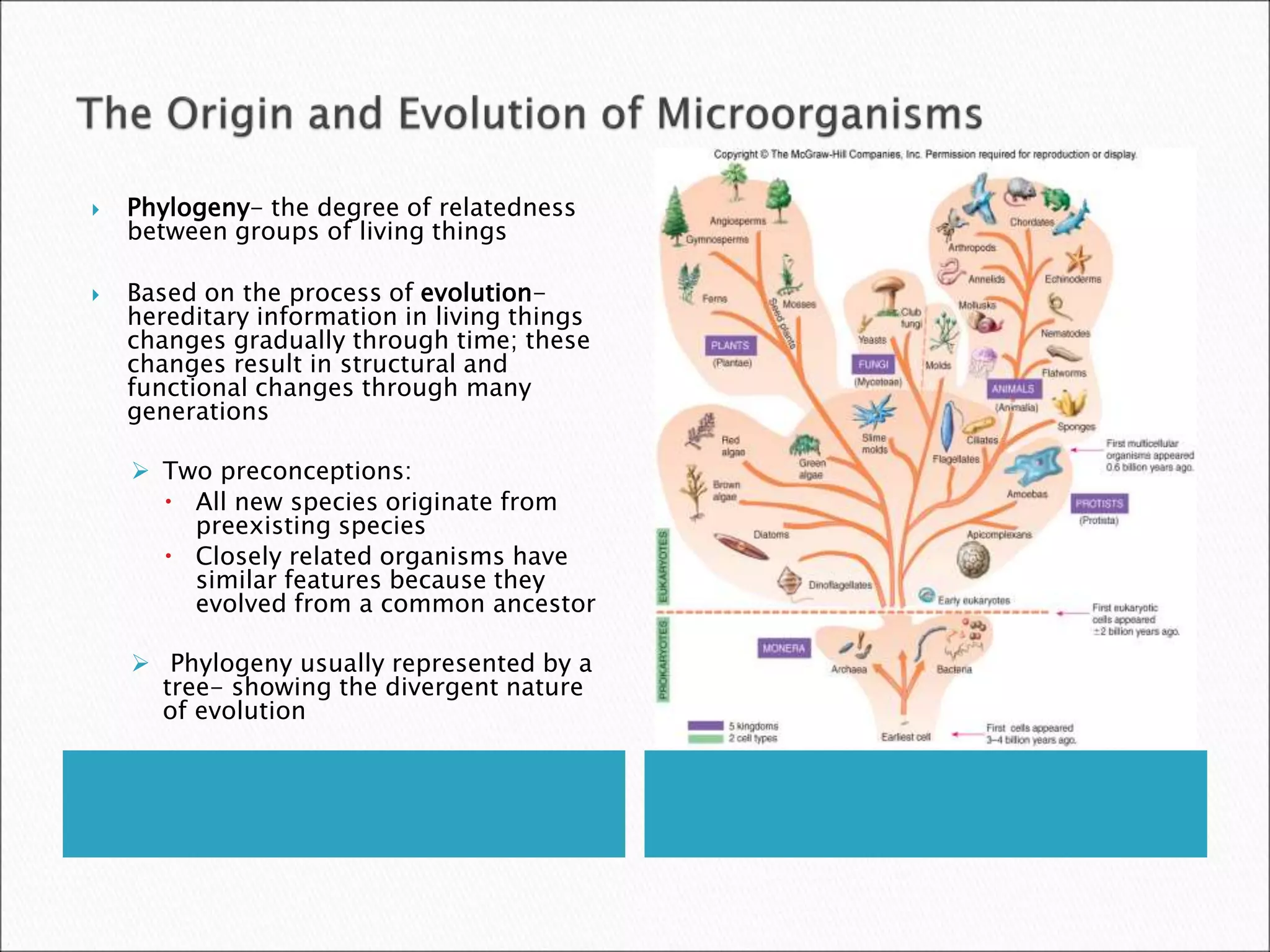  Phylogeny- the degree of relatedness
between groups of living things
 Based on the process of evolution-
hereditary information in living things
changes gradually through time; these
changes result in structural and
functional changes through many
generations
 Two preconceptions:
 All new species originate from
preexisting species
 Closely related organisms have
similar features because they
evolved from a common ancestor
 Phylogeny usually represented by a
tree- showing the divergent nature
of evolution
 