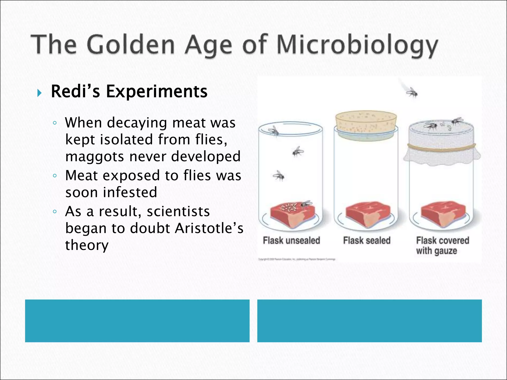  Redi’s Experiments
◦ When decaying meat was
kept isolated from flies,
maggots never developed
◦ Meat exposed to flies was
soon infested
◦ As a result, scientists
began to doubt Aristotle’s
theory
 