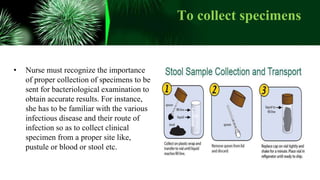 To collect specimens
• Nurse must recognize the importance
of proper collection of specimens to be
sent for bacteriological examination to
obtain accurate results. For instance,
she has to be familiar with the various
infectious disease and their route of
infection so as to collect clinical
specimen from a proper site like,
pustule or blood or stool etc.
 