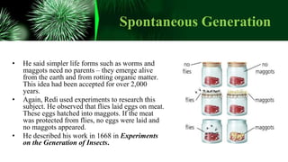 Spontaneous Generation
• He said simpler life forms such as worms and
maggots need no parents – they emerge alive
from the earth and from rotting organic matter.
This idea had been accepted for over 2,000
years.
• Again, Redi used experiments to research this
subject. He observed that flies laid eggs on meat.
These eggs hatched into maggots. If the meat
was protected from flies, no eggs were laid and
no maggots appeared.
• He described his work in 1668 in Experiments
on the Generation of Insects.
 
