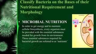 Classify Bacteria on the Bases of their
Nutritional Requirement and
Morphology
• MICROBIAL NUTRITION
• In order to get energy and to maintain
cellular biosynthesis, every organism must
be provided with the essential substances
needed for growth from its environment.
These essential substances required for
bacterial growth are referred to as ‘nutrients’
 