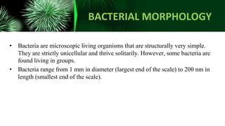 BACTERIAL MORPHOLOGY
• Bacteria are microscopic living organisms that are structurally very simple.
They are strictly unicellular and thrive solitarily. However, some bacteria are
found living in groups.
• Bacteria range from 1 mm in diameter (largest end of the scale) to 200 nm in
length (smallest end of the scale).
 