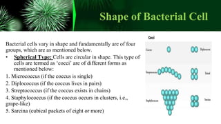 Shape of Bacterial Cell
Bacterial cells vary in shape and fundamentally are of four
groups, which are as mentioned below.
• Spherical Type: Cells are circular in shape. This type of
cells are termed as ‘cocci’ are of different forms as
mentioned below:
1. Micrococcus (if the coccus is single)
2. Diplococcus (if the coccus lives in pairs)
3. Streptococcus (if the coccus exists in chains)
4. Staphylococcus (if the coccus occurs in clusters, i.e.,
grape-like)
5. Sarcina (cubical packets of eight or more)
 
