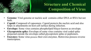 Structure and Chemical
Composition of Virus
• Genome: Viral genome or nucleic acid contains either DNA or RNA but not
both.
• Capsid: Composed of capsomere. Capsid protects the nucleic acid and also
helps in attachments on host cell surface during infection.
• Envelope: Some virus contains phospholipid bilayer known as envelope.
• Glycoprotein spike: Envelope of some virus contains viral coded spike
projected outside the envelope called glycoprotein spike or peplomers.
• Enzymes: Some virus possess their own enzymes. Retrovirus possess reverse
transcriptase.
 