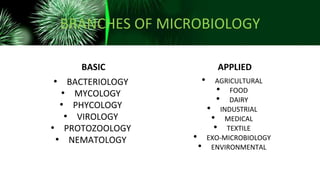 BRANCHES OF MICROBIOLOGY
BASIC
• BACTERIOLOGY
• MYCOLOGY
• PHYCOLOGY
• VIROLOGY
• PROTOZOOLOGY
• NEMATOLOGY
APPLIED
• AGRICULTURAL
• FOOD
• DAIRY
• INDUSTRIAL
• MEDICAL
• TEXTILE
• EXO-MICROBIOLOGY
• ENVIRONMENTAL
 