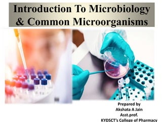 Introduction To Microbiology
& Common Microorganisms
Prepared by
Akshata A Jain
Asst.prof.
KYDSCT’s College of Pharmacy
 