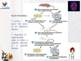 Koch's Postulates
 used to
prove the cause
of an infectious
disease.
 Sequence of
experimental
steps to relate a
specific microbe
to a specific
disease.
 