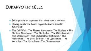 EUKARYOTIC CELLS
 Eukaryote is an organism that does have a nucleus
 Having membrane bound organelles with specific
functions:
 The Cell Wall • The Plasma Membrane• The Nucleus • The
Nuclear Membrane • The Nucleolus • The Mitochondria •
The Chloroplast • The Endoplasmic Reticulum • The
Ribosomes • The Golgi Bodies • The Lysosomes • The
Vacuoles • The Cytoplasm • The Chromosomes
 