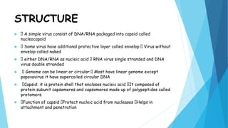 STRUCTURE
 A simple virus consist of DNA/RNA packaged into capsid called
nucleocapsid
 Some virus have additional protective layer called envelop Virus without
envelop called naked
 either DNA/RNA as nucleic acid RNA virus single stranded and DNA
virus double stranded
 Genome can be linear or circular Most have linear genome except
papovavirus it have supercoiled circular DNA
 Capsid: it is protein shell that encloses nucleic acid It composed of
protein subunit capsomeres and capsomeres made up of polypeptides called
protomers
 Function of capsid Protect nucleic acid from nucleases Helps in
attachment and penetration
 