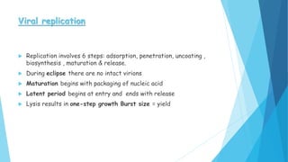 Viral replication
 Replication involves 6 steps: adsorption, penetration, uncoating ,
biosynthesis , maturation & release.
 During eclipse there are no intact virions
 Maturation begins with packaging of nucleic acid
 Latent period begins at entry and ends with release
 Lysis results in one-step growth Burst size = yield
 