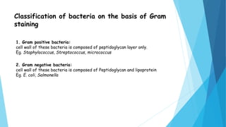 Classification of bacteria on the basis of Gram
staining
1. Gram positive bacteria:
cell wall of these bacteria is composed of peptidoglycan layer only.
Eg. Staphylococcus, Streptococcus, micrococcus
2. Gram negative bacteria:
cell wall of these bacteria is composed of Peptidoglycan and lipoprotein
Eg. E. coli, Salmonella
 