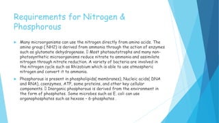 Requirements for Nitrogen &
Phosphorous
 Many microorganisms can use the nitrogen directly from amino acids. The
amino group ( NH2) is derived from ammonia through the action of enzymes
such as glutamate dehydrogenase. Most photoautotrophs and many non-
photosynthetic microorganisms reduce nitrate to ammonia and assimilate
nitrogen through nitrate reduction. A variety of bacteria are involved in
the nitrogen cycle such as Rhizobium which is able to use atmospheric
nitrogen and convert it to ammonia.
 Phosphorous is present in phospholipids( membranes), Nucleic acids( DNA
and RNA), coenzymes, ATP, some proteins, and other key cellular
components. Inorganic phosphorous is derived from the environment in
the form of phosphates. Some microbes such as E. coli can use
organophosphates such as hexose – 6-phosphates .
 