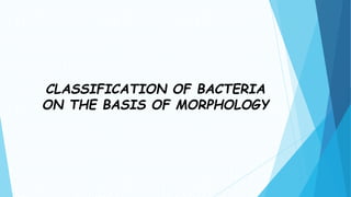 CLASSIFICATION OF BACTERIA
ON THE BASIS OF MORPHOLOGY
 