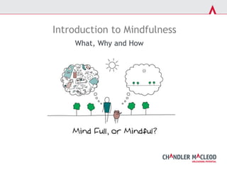 What, Why and How
Introduction to Mindfulness
 