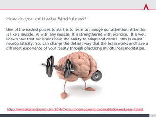 Introduction to mindfulness | PDF
