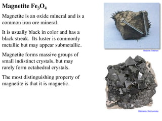 Magnetite Fe3O4
Magnetite is an oxide mineral and is a
common iron ore mineral.
It is usually black in color and has a
black streak. Its luster is commonly
metallic but may appear submetallic.
Magnetite forms massive groups of
small indistinct crystals, but may
rarely form octahedral crystals.
The most distinguishing property of
magnetite is that it is magnetic.
Herschel Friedman
Wikimedia: Rob Lavinsky
 