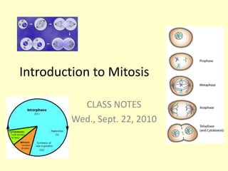 Introduction to Mitosis CLASS NOTES Wed., Sept. 22, 2010 