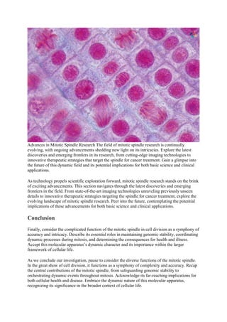 Decoding the Mitotic Spindle: Roles, Dynamics, and Implications for ... Biology Diagrams