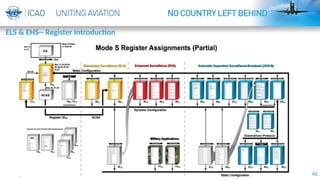 46
ELS & EHS-- Register Introduction
 
