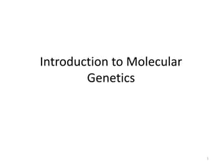 Introduction to Molecular
Genetics
1
 