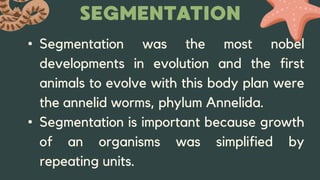 Introduction to Morphoanatomy of Animals | PPTX
