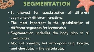 Introduction to Morphoanatomy of Animals | PPTX