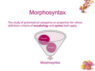 Introduction to morphosyntax PPT