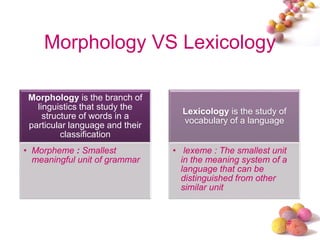 Introduction to morphosyntax
