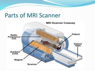 Parts of MRI Scanner
 