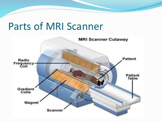 Mri Scan Machine Diagram