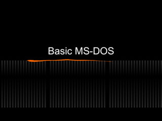 Basic MS-DOS 
 